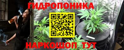 дживик Гай