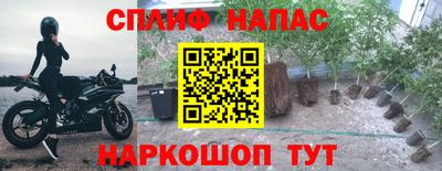 экстази Гатчина