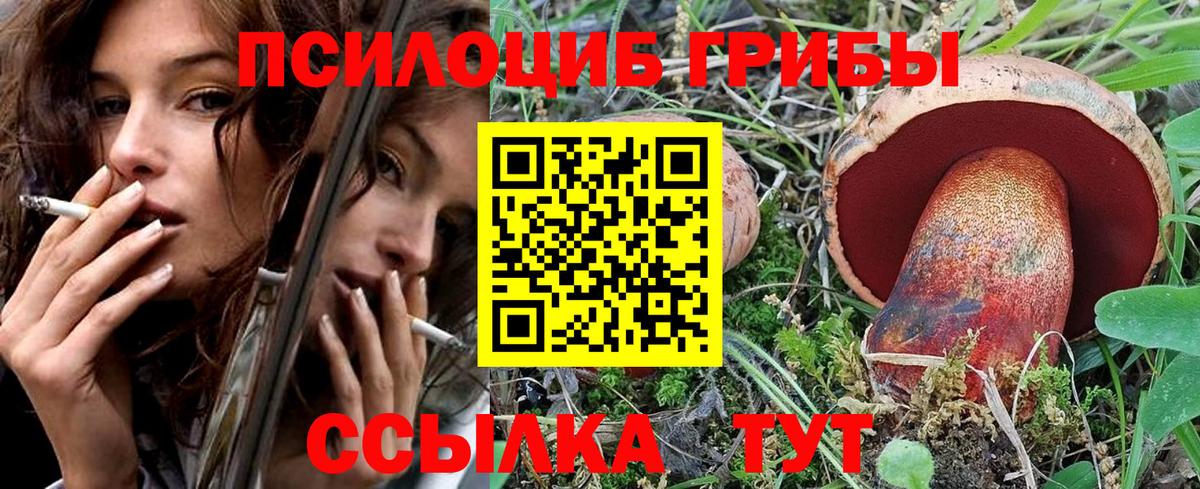 Галлюциногенные грибы Psilocybe Всеволожск