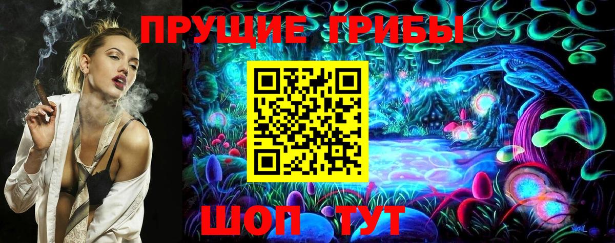 Псилоцибиновые грибы ЛСД  купить  сайты  Всеволожск  Вход с VPN  Псилоцибиновые грибы ЛСД 